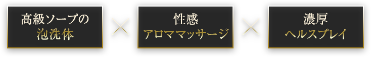高級ソープ×性感アロママッサージ×濃厚ヘルスの融合