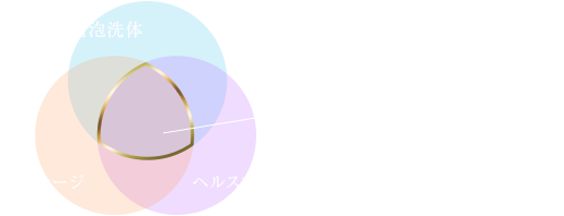 ハイブリッド説明図