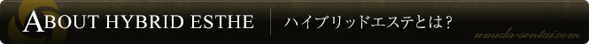 ハイブリッドエステとは？