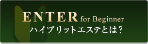 ハイブリットエステとは