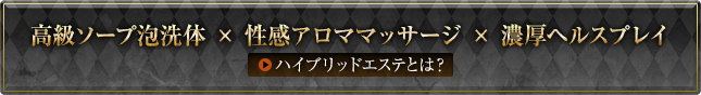 ハイブリットとは？