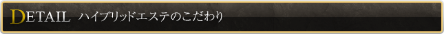 ハイブリッドエステのこだわり
