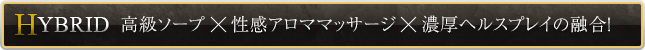 高級ソープ×性感アロママッサージ×濃厚ヘルスプレイの融合！