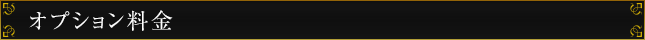オプション料金
