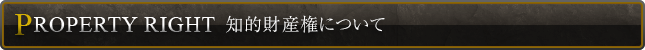 知的財産権について